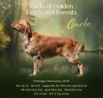 Carlo of Golden Fields and Forests