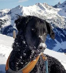Cooper von der Bertaburg