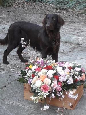 Fischermen's friend Ruby