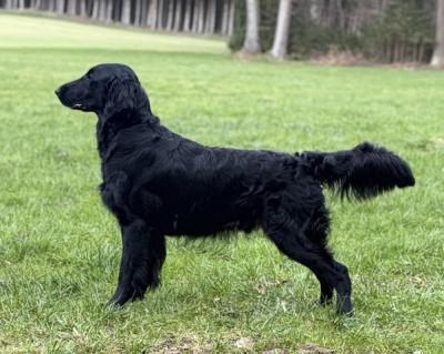 Boubacar flat nose in the wind