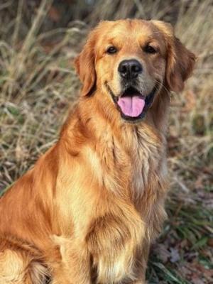 Attractive Newton von der Weinbergschanze